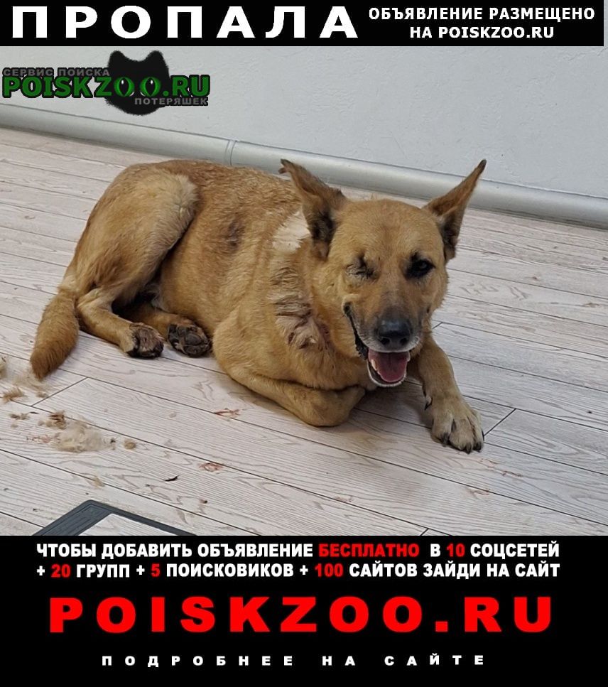 ���� ������� ������ ������ �����, �������, ��� �����