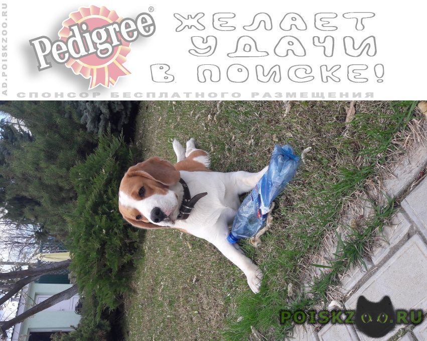 ���� ������� ������ ������