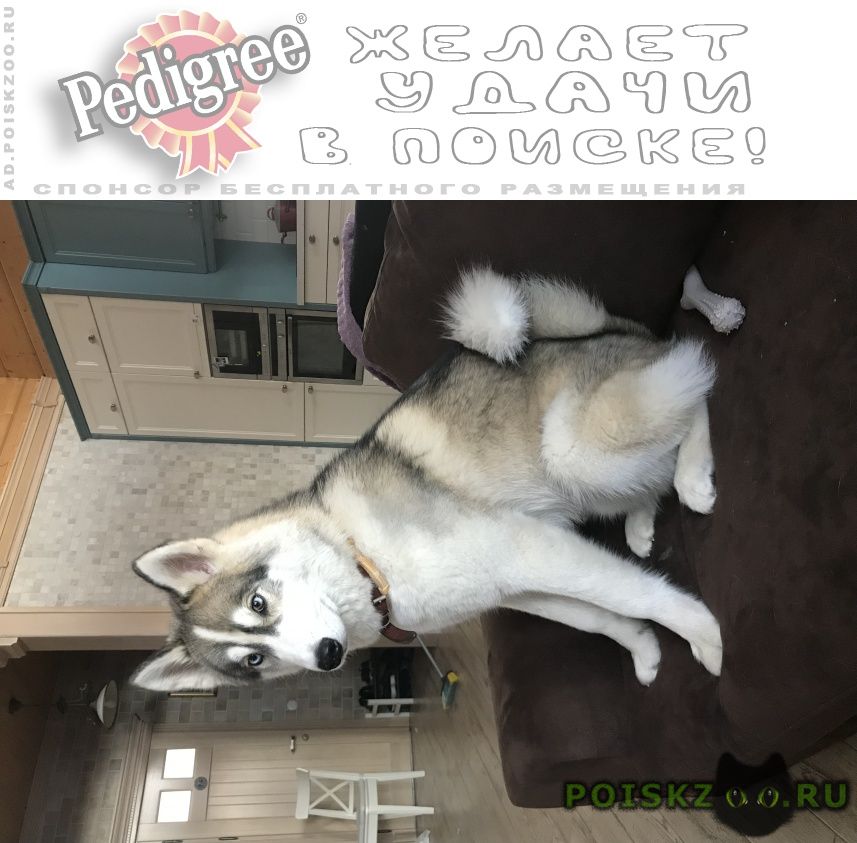 ���� ������� ������