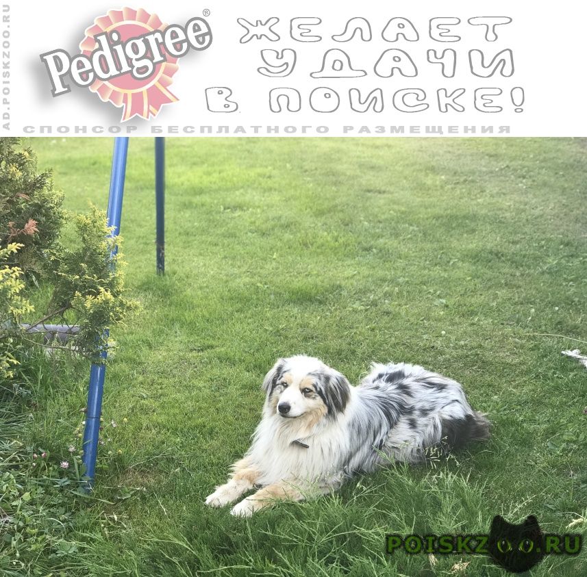 ���� ������� ������ ������