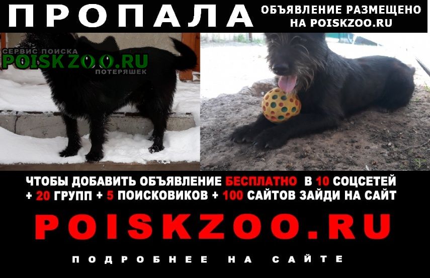 ���� ������� ������ ������