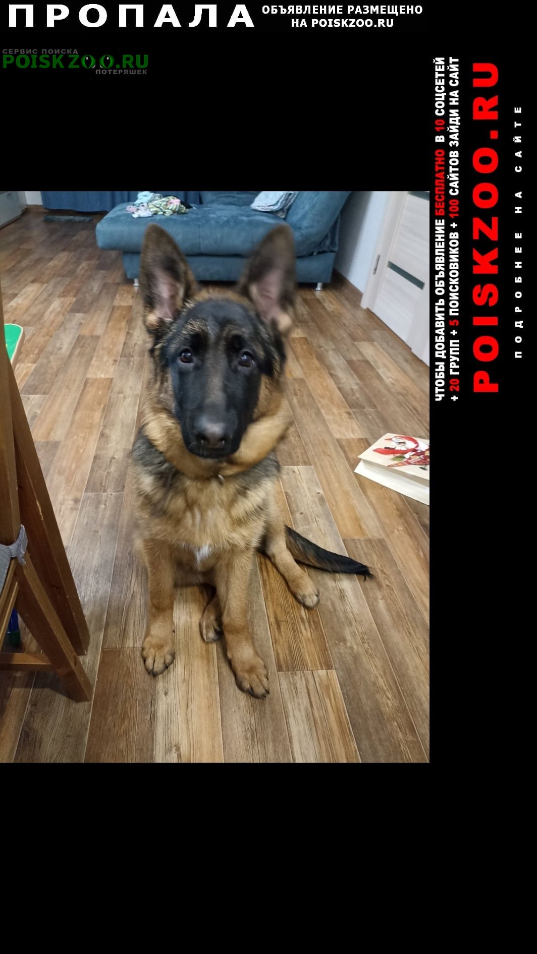 ���� ������� ������ ����� �������, ����������, ���������, ��