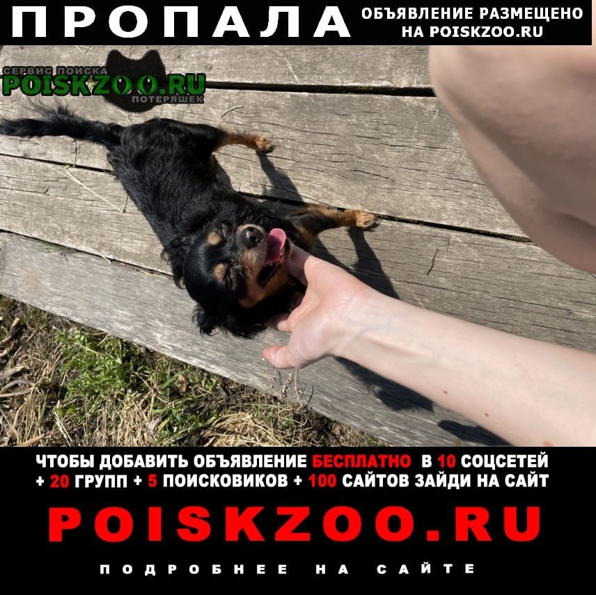 ���� ������� ������