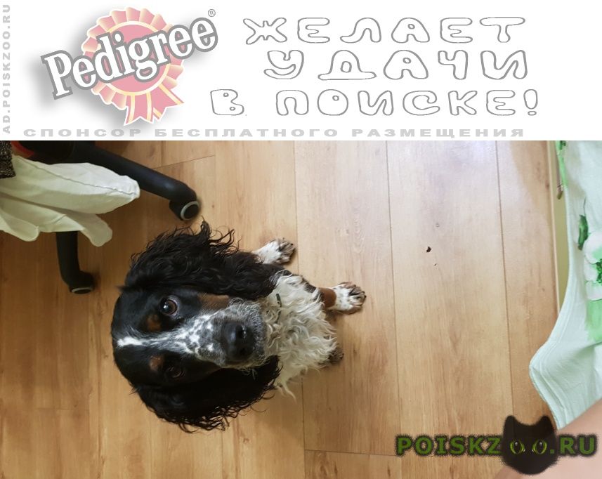 ���� ������� ������ ������ �������� ����� ��� ��� ������