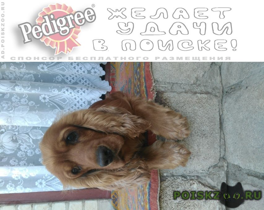 ���� ������� ������ ������