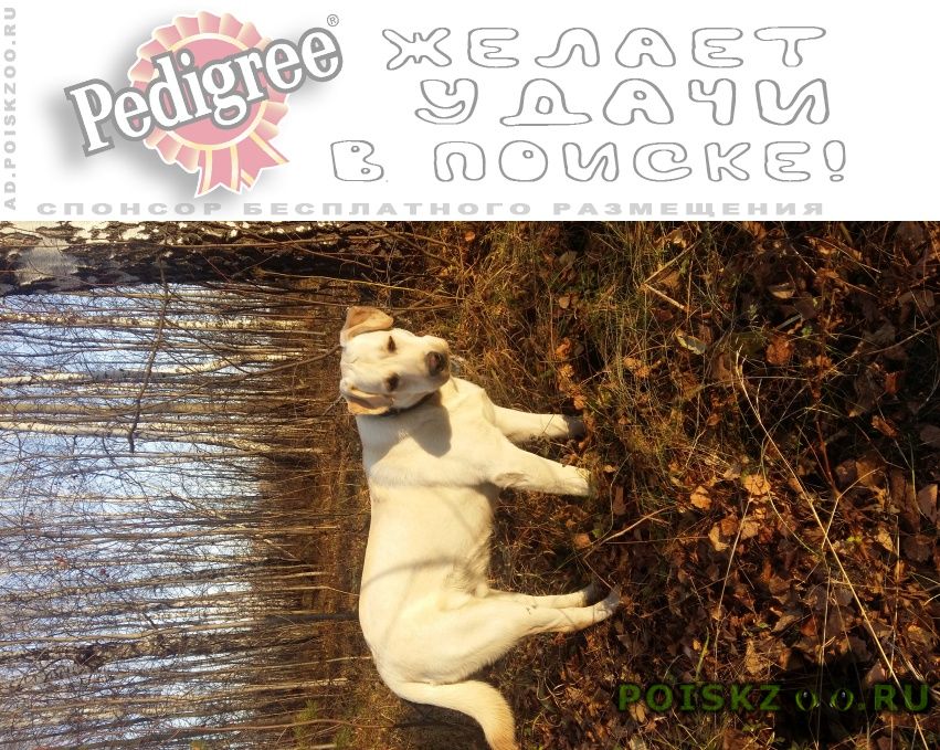 ���� ������� ������ ������ �������� ����� ������