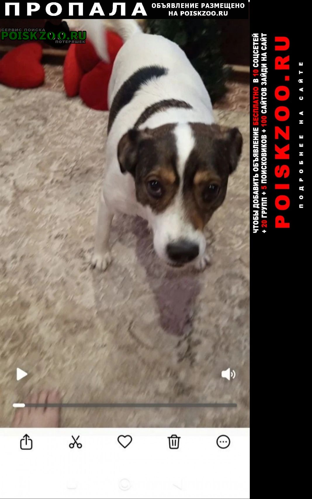 ���� �������� �����