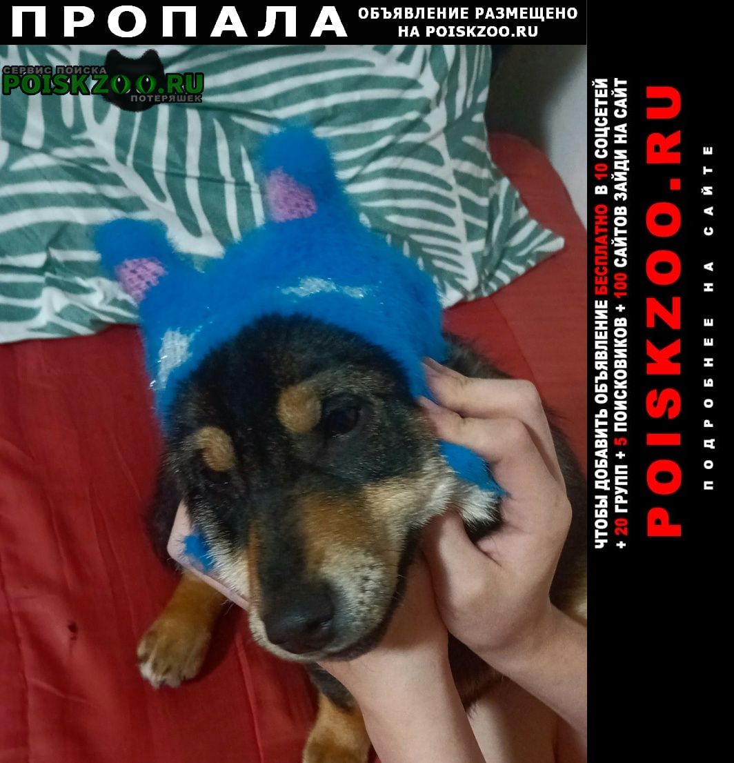 ���� ������� ������ ���� ������. �������. ��������.