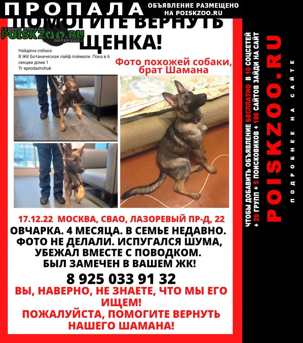 Пропала собака кобель помогите найти Москва