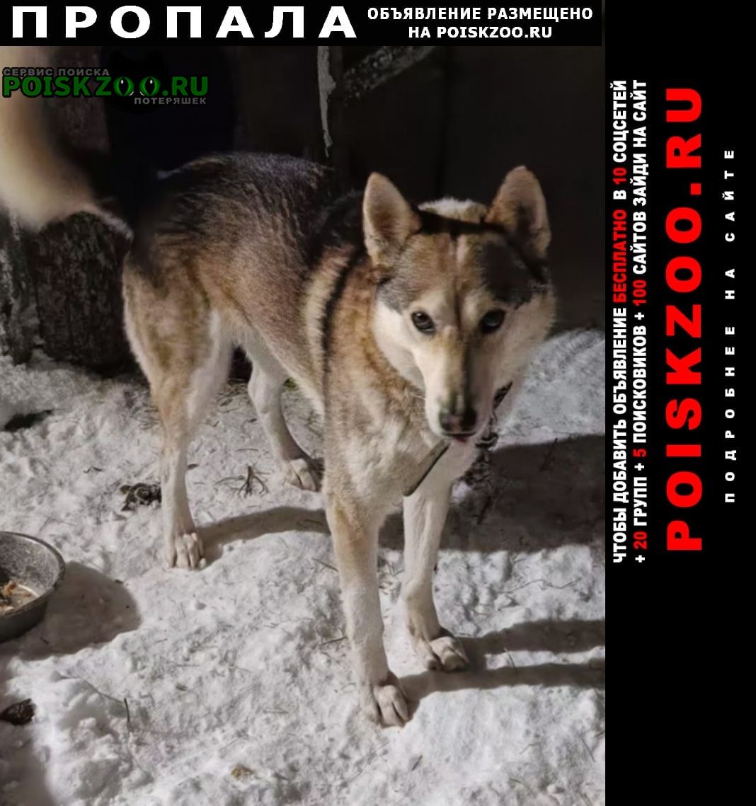 ���� ������� ������ ������