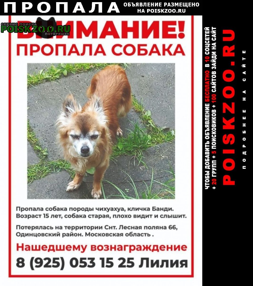 Пропала собака кобель Полушкино