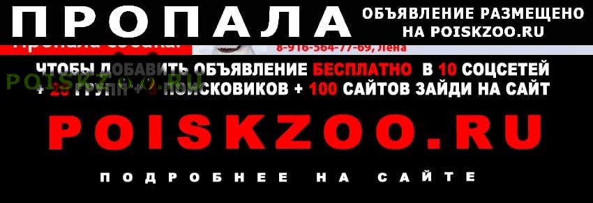 ���� ������� ������ ������ / ������ ������