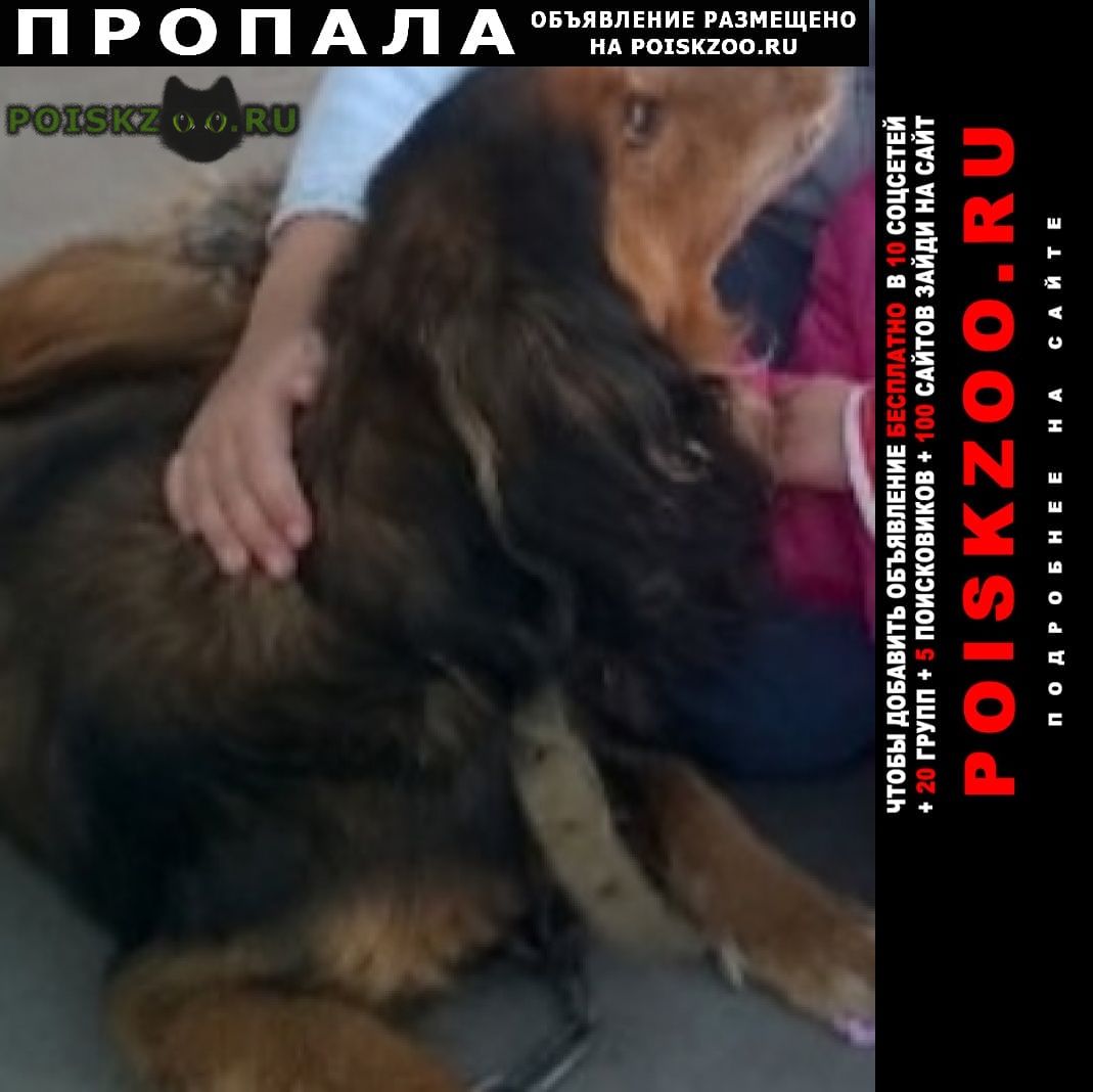 ���� ������� ������ ������