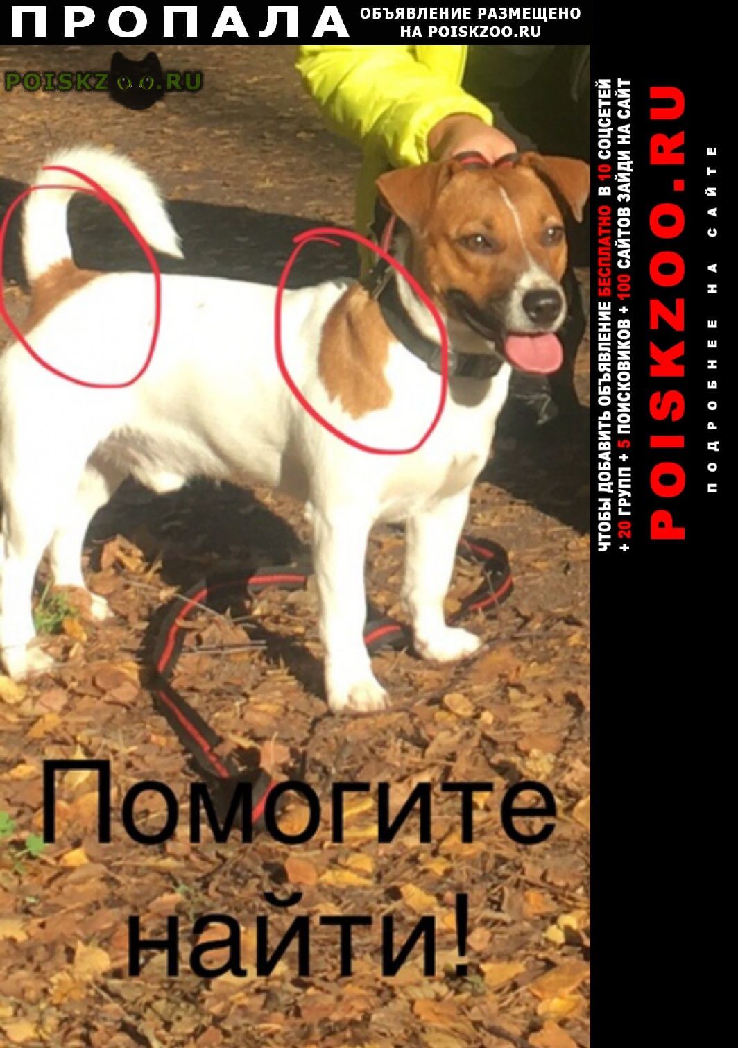 ���� ������� ������ ������