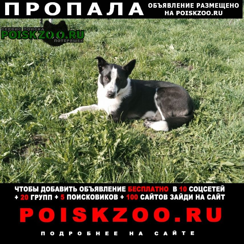 ���� ������� ������ ������