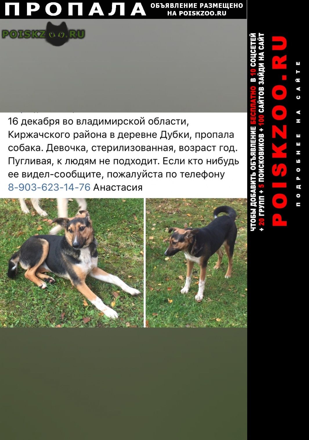 ���� ������� ������