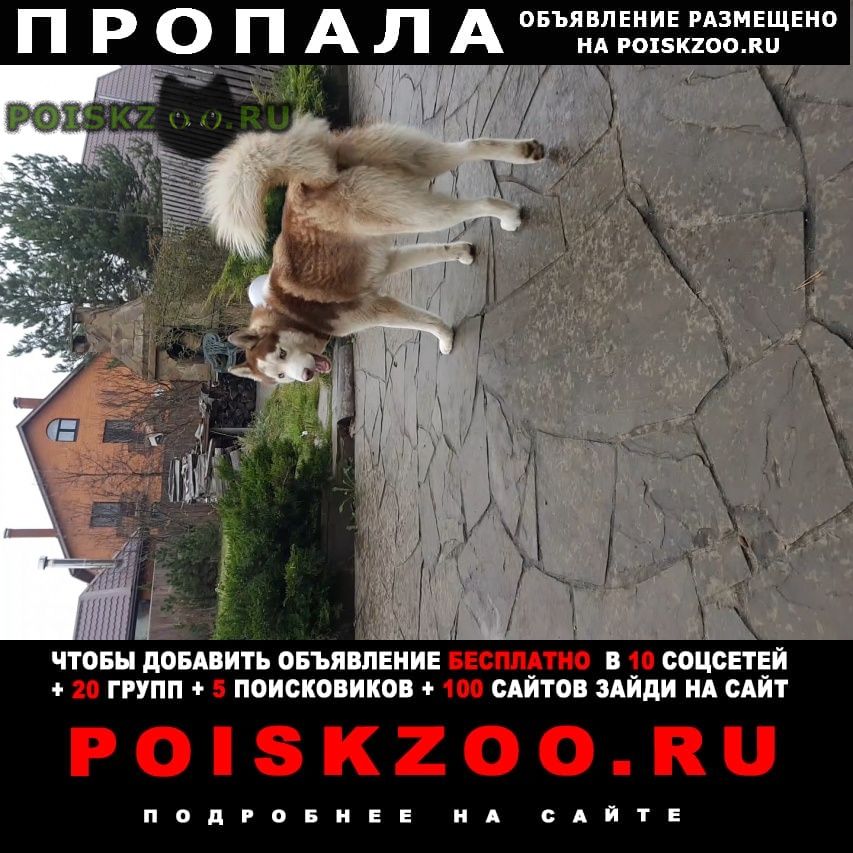 ���� ������� ������ ������