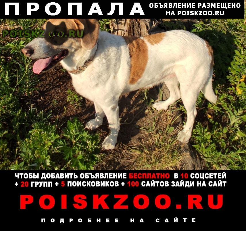 ���� ������� ������