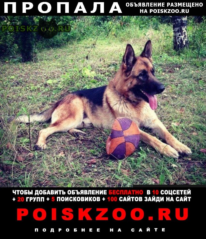 ���� ������� ������ �������� �������, ����. ���������