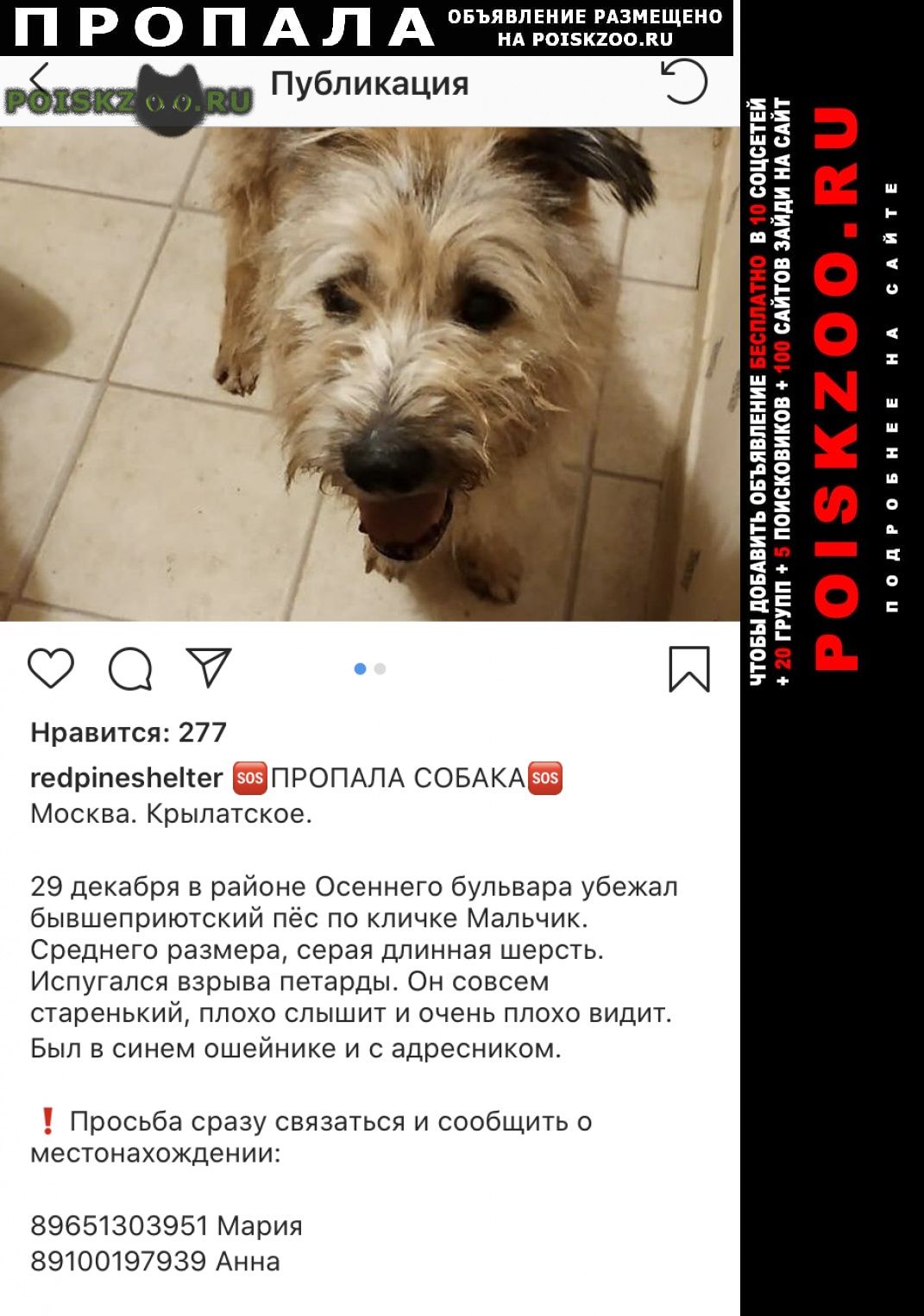 ���� ������� ������ ������