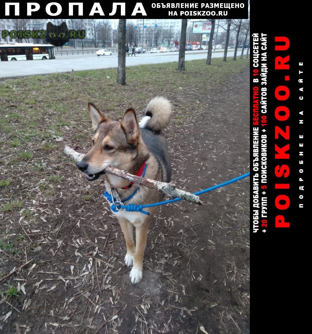 ���� ������� ������ ����� �� ������ �����