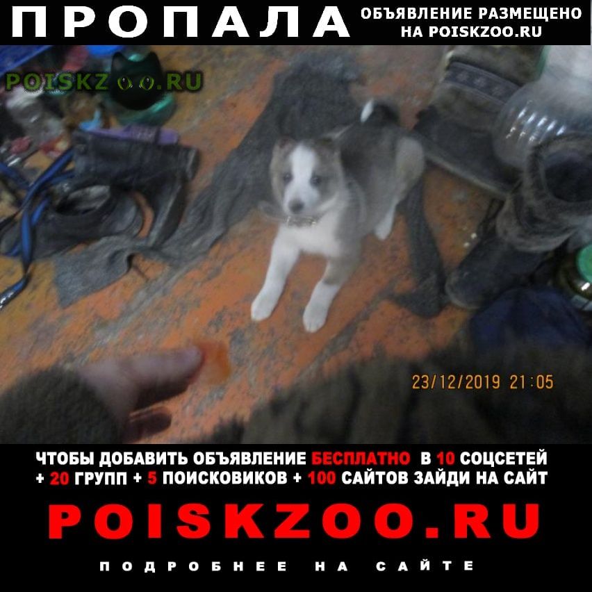 ���� ������� ������ ������ ����� �����.