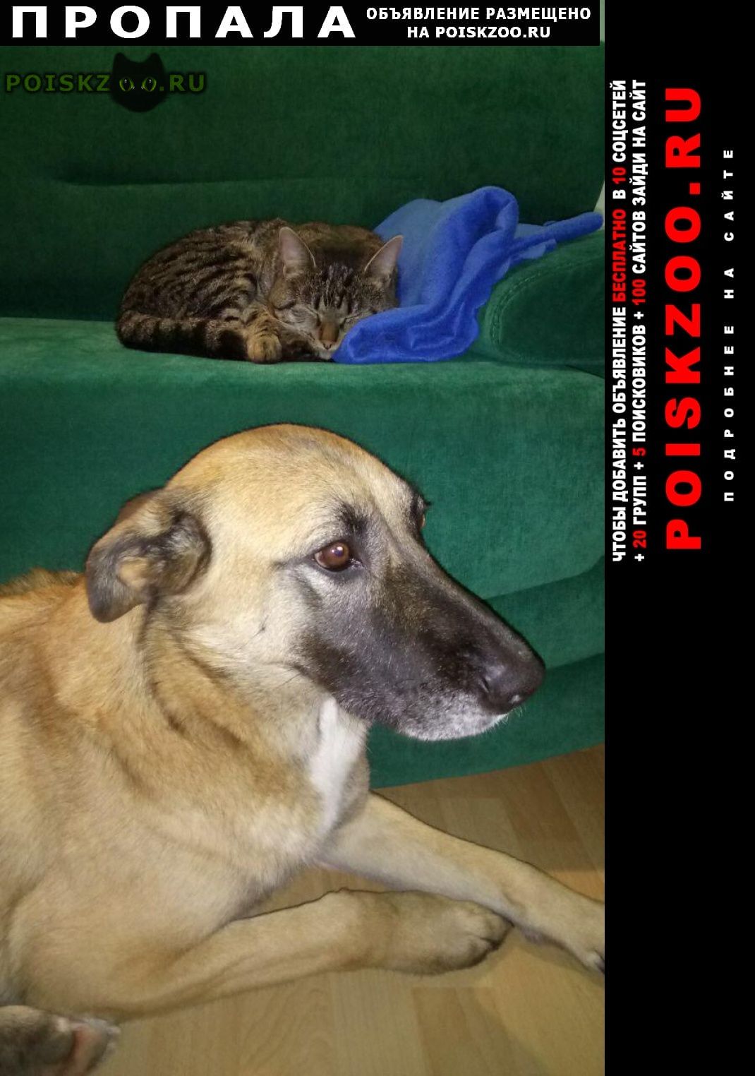 ���� ������� ������ �������� �����