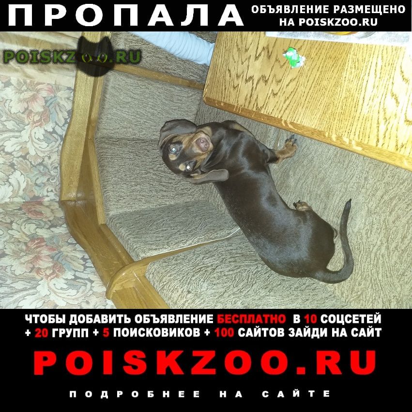 ���� ������� ������ ����� ����������� ������