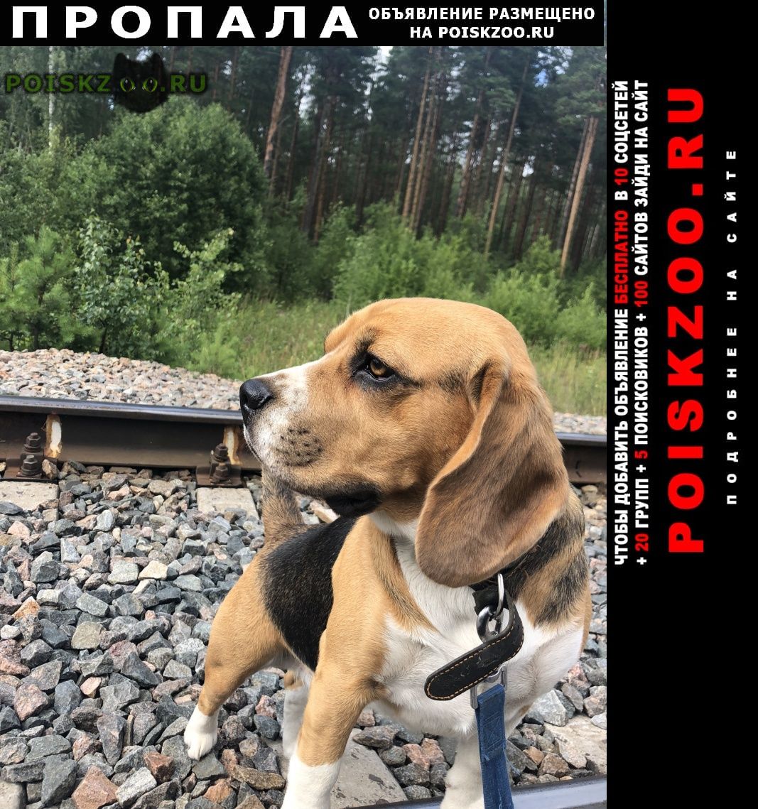 ���� ������� ������ ������