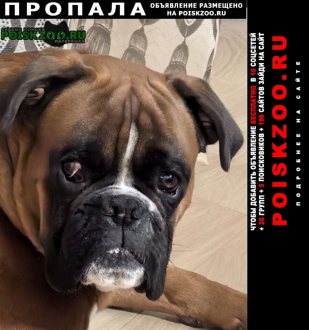 ���� ������� ������ ������, �������� ������