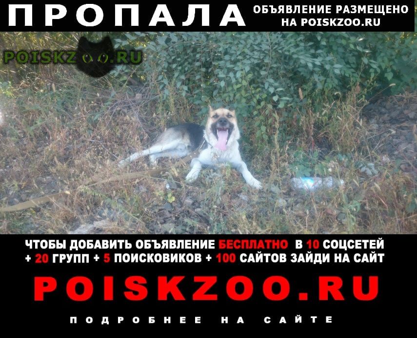 ���� ������� ������ ������ ��