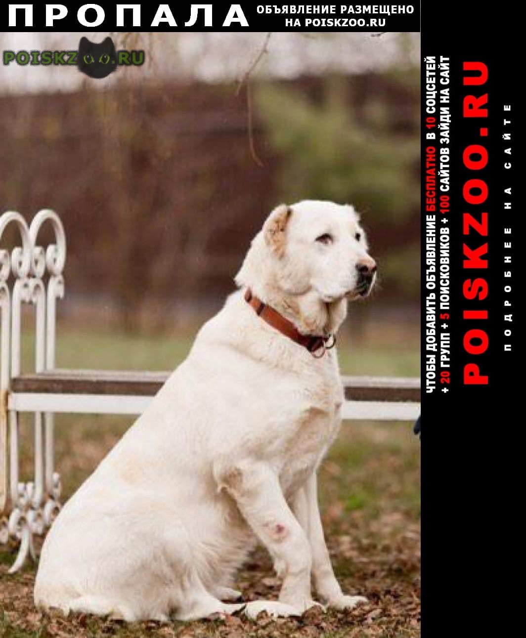 ���� ������� ������ ������ ����� ������