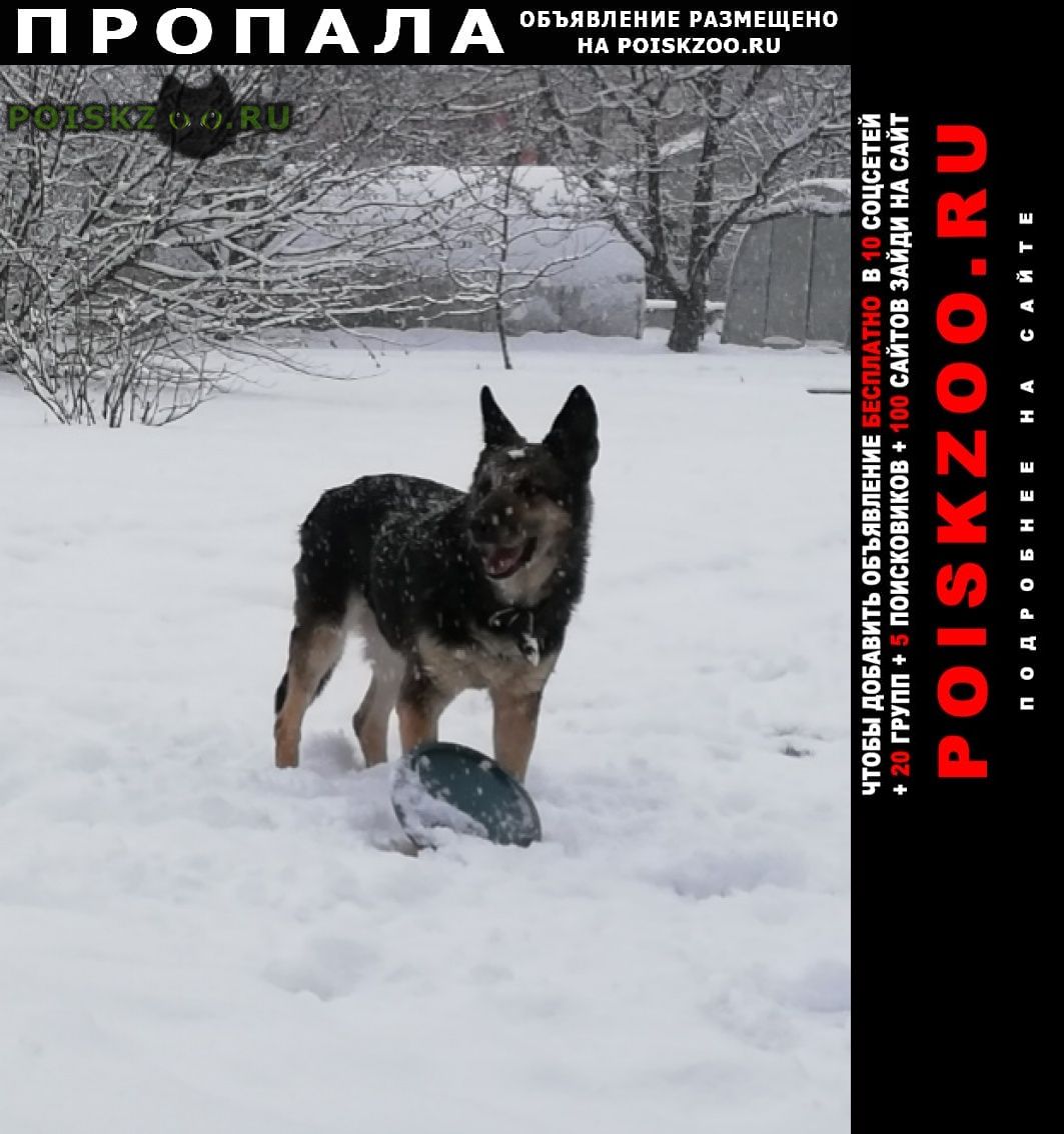 ���� ������� ������ ������������������� �������