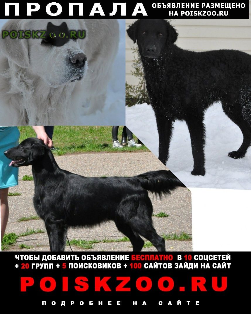 ���� ������� ������ ������