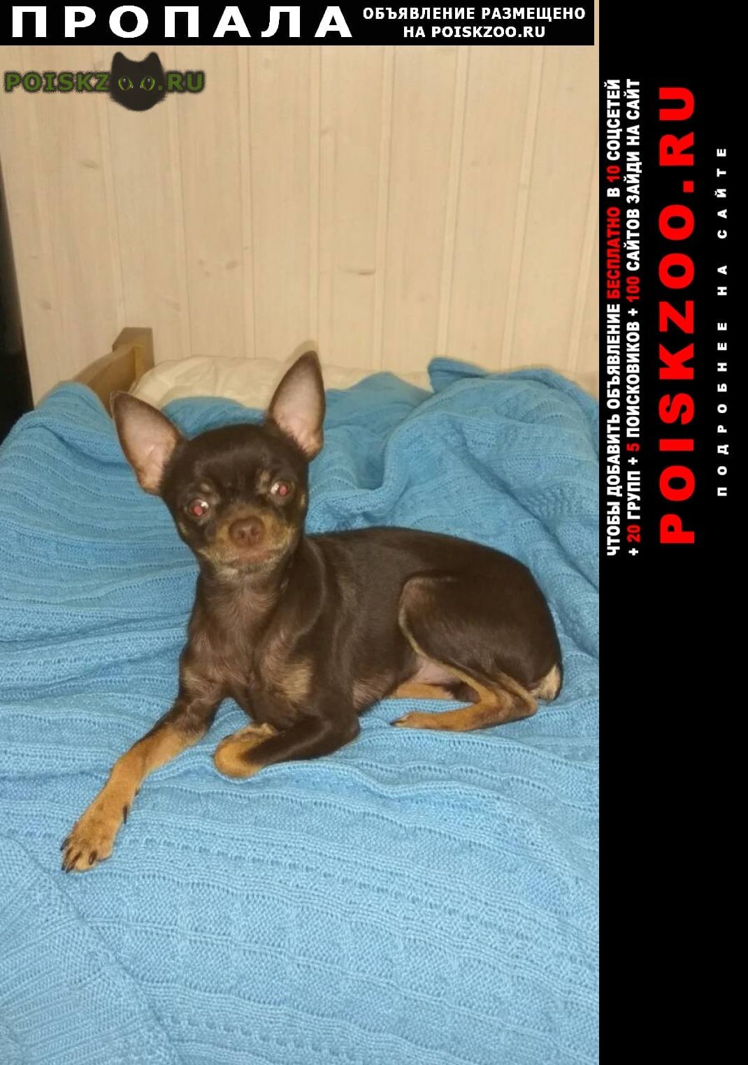 ���� ������� ������ ������