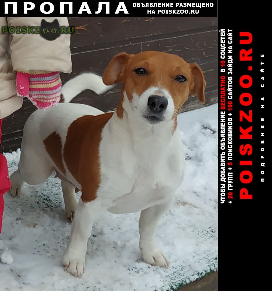 ���� ������� ������