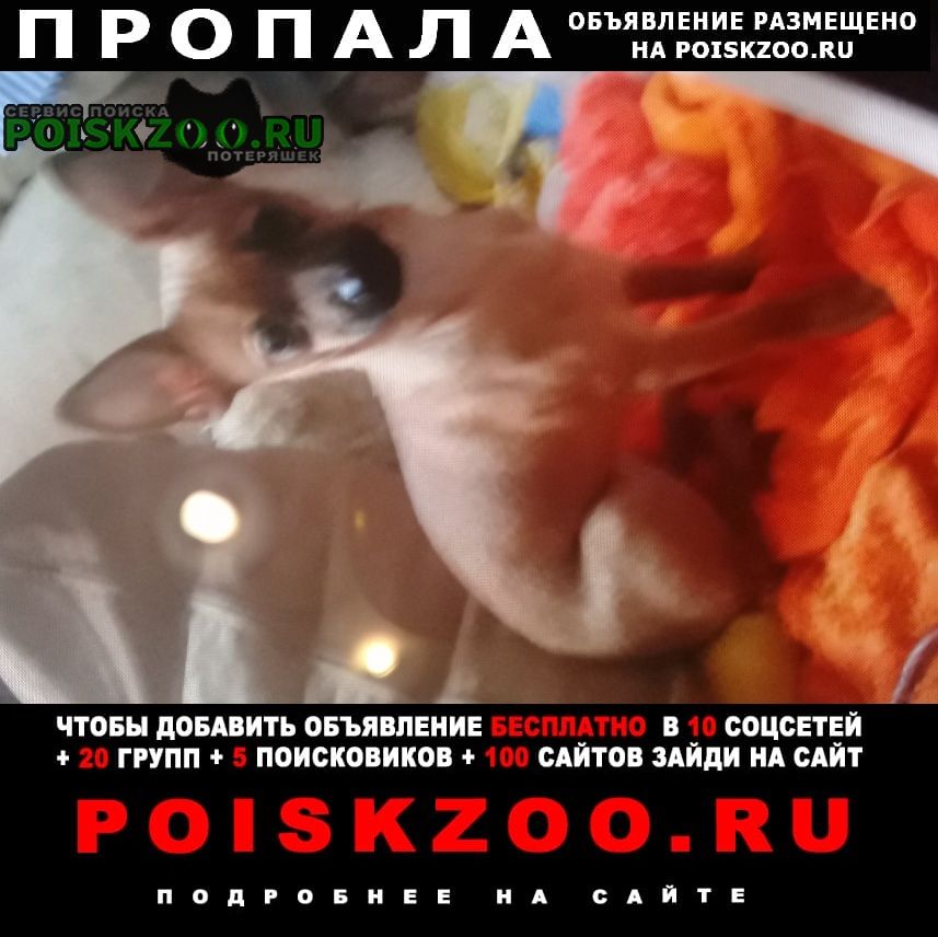 ���� ������� ������ �������� �����