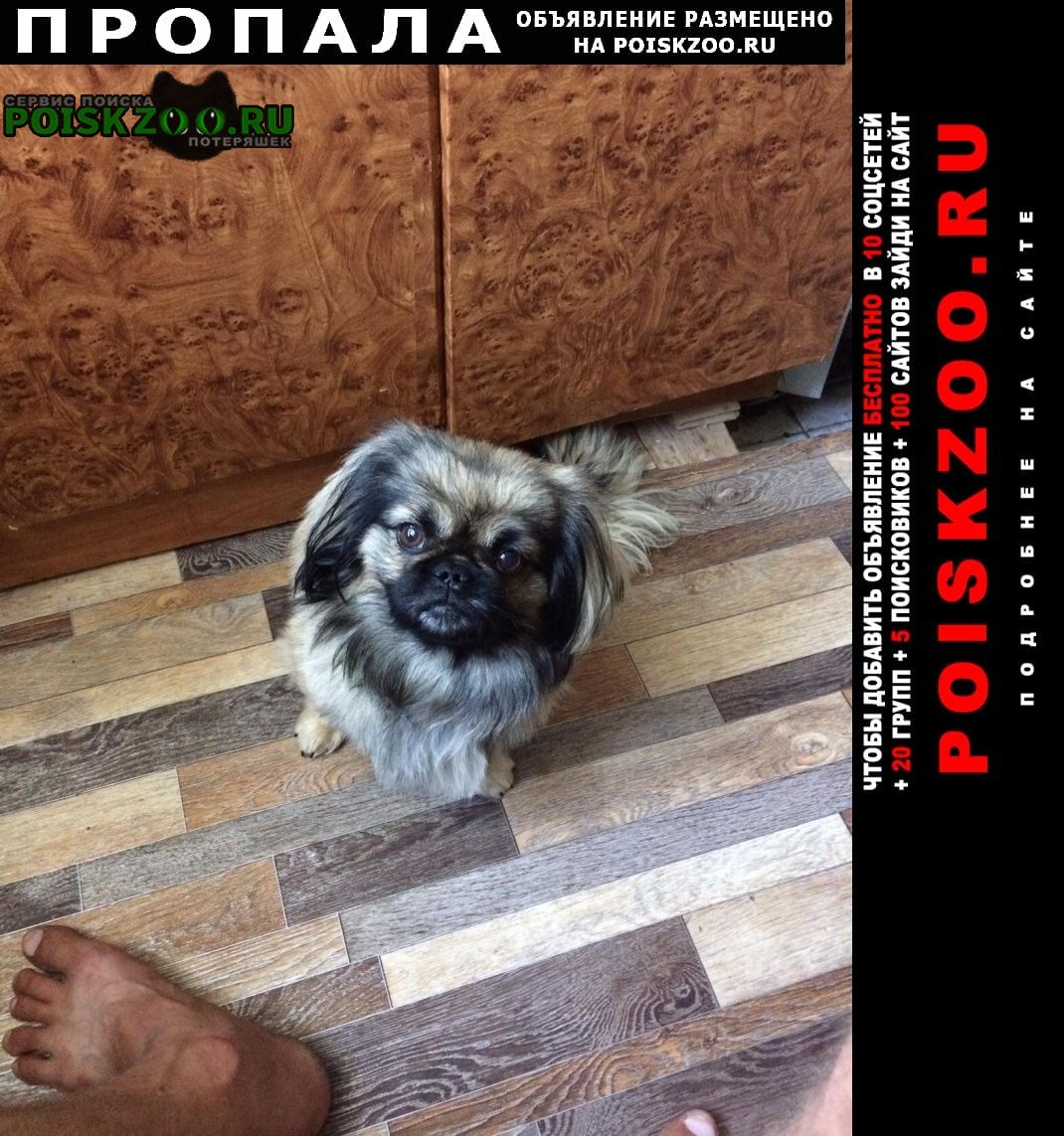 ���� ������� ������ ������ �������