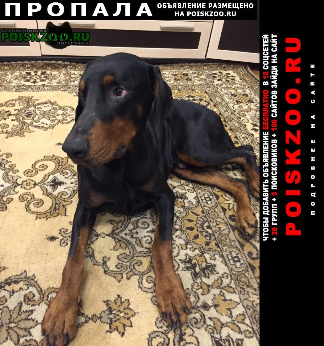 ���� ������� ������ ������