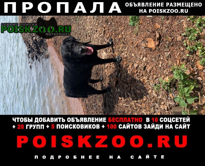 ���� ������� ������ ������