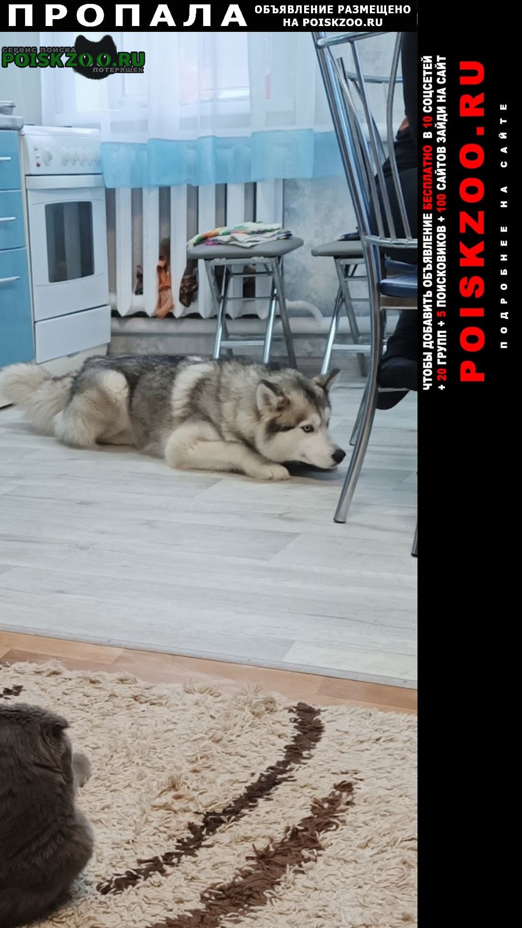 ���� ������� ������ ����� ����� �����