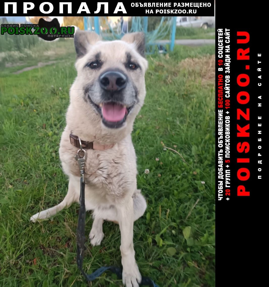 ���� ������� ������