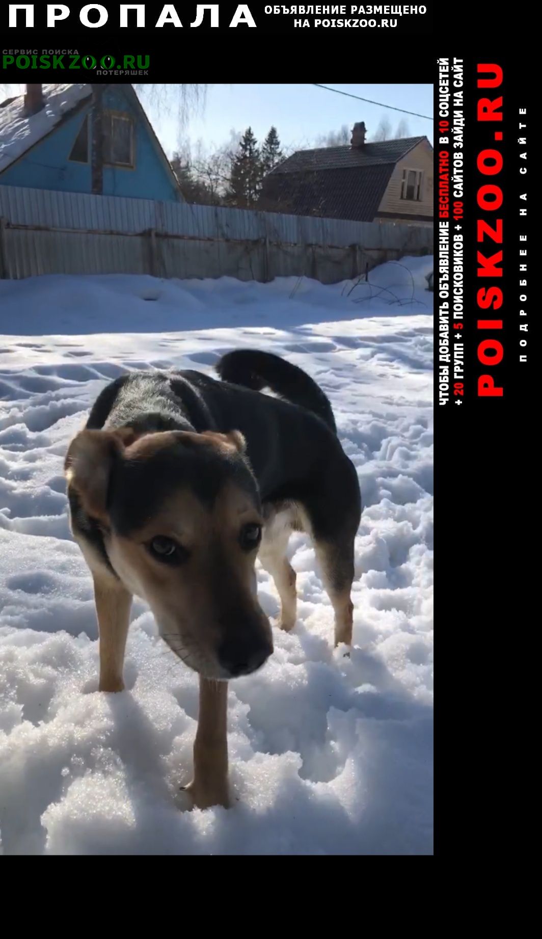 ���� ������� ������ ������ ������� �����