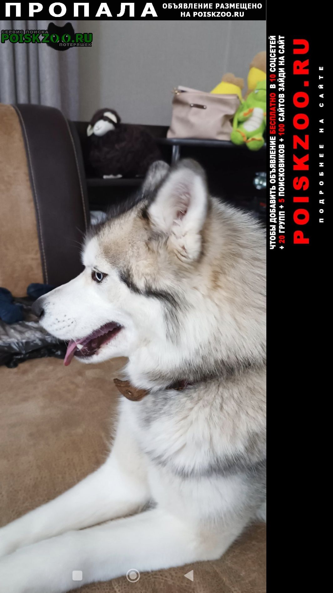 ���� ������� ������ ����� ����� �����