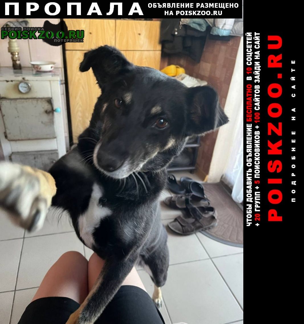 ���� ������� ������ � ������������������ �-�