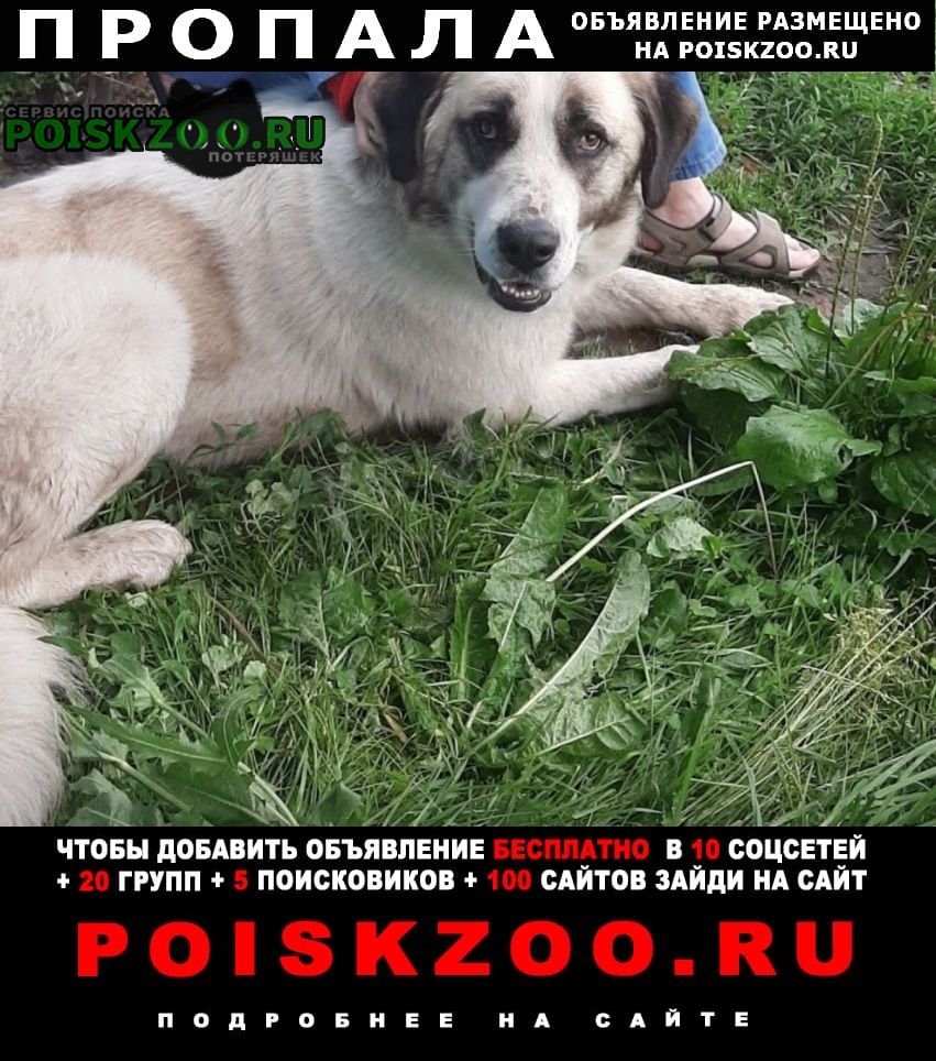 ���� ������� ������ ������.