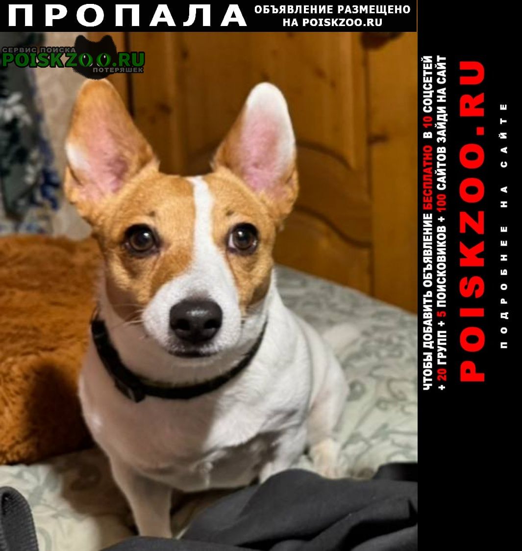 ���� ������� ������