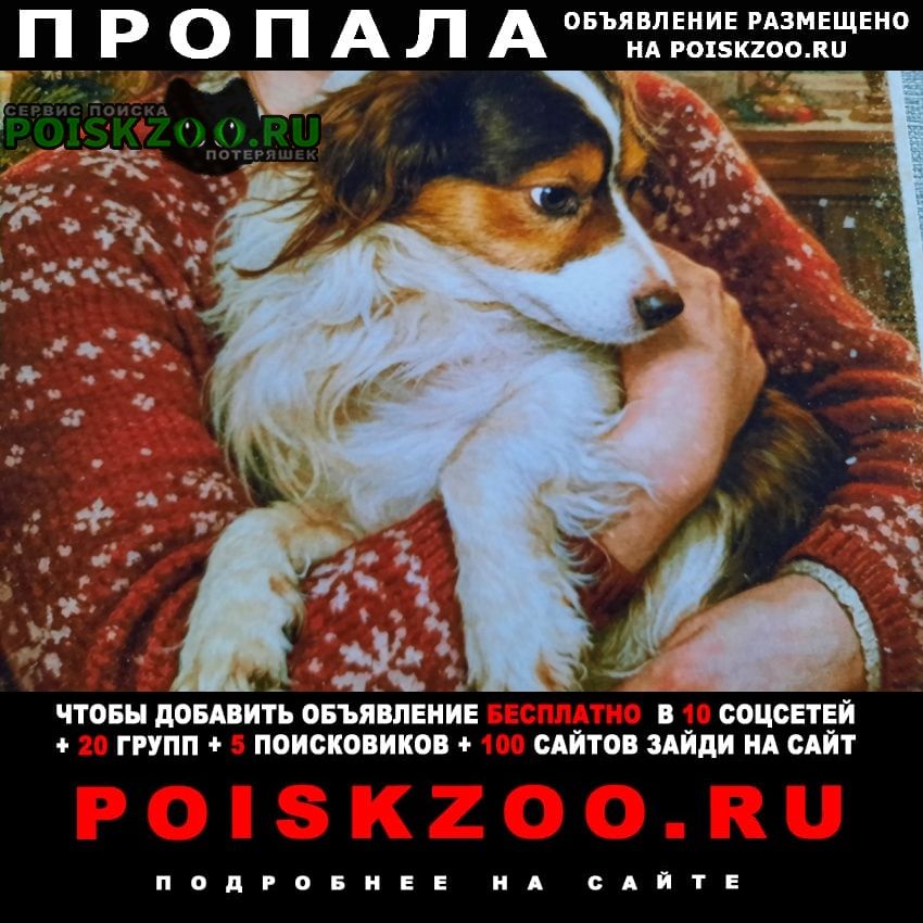 ���� ������� ������ ������ �� ���������