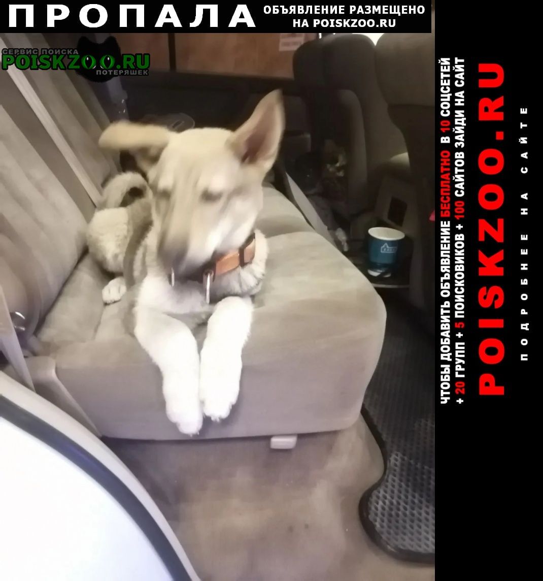 ���� �������� ����� ������� ������ �����