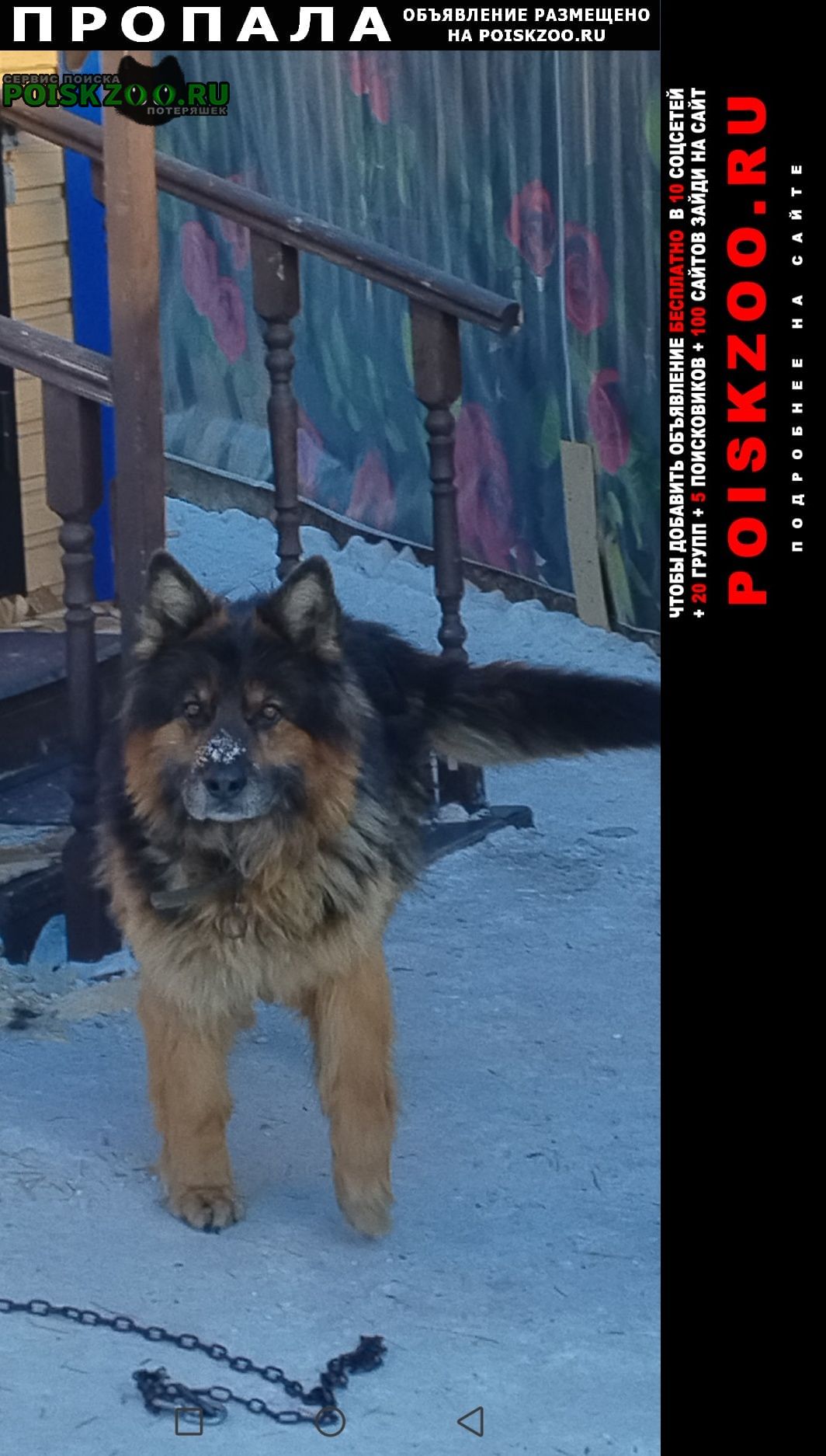 ���� ������� ������ ������ �������� ������� � ������� ���������